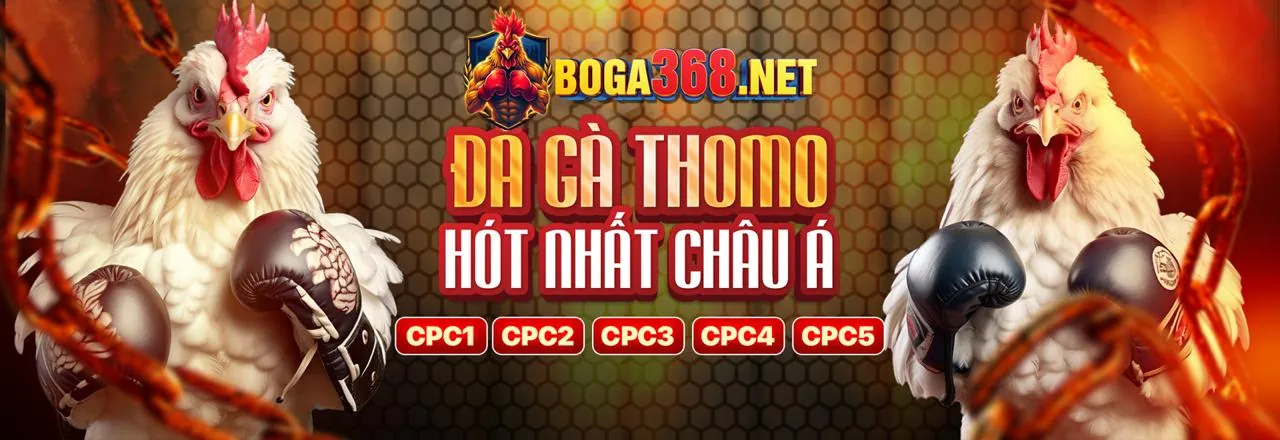 Đá gà trực tuyến 789wim chính thức
